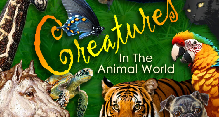 Creatures In The Animal World