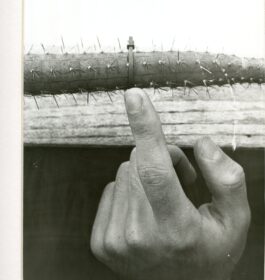 Antonio Quevedo – Finger Touching Cactus