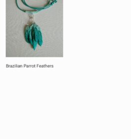Jewellene Wilson – Brazilian Parrot Feathers