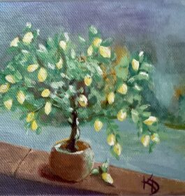 Kim DeFrancesco – Lemon Tree in Pot.