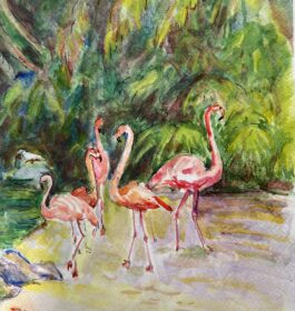 Tatyana Cariffe – Flamingo Gardens, Davie,Fl