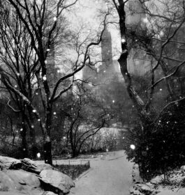 William Quigley – Winter: New York City