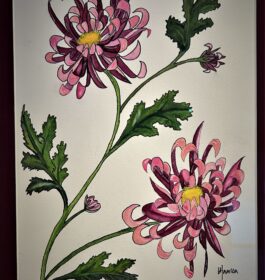 Laura Hansen – Chrysanthemums