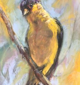 Patti Doolittle – Yellow Bird