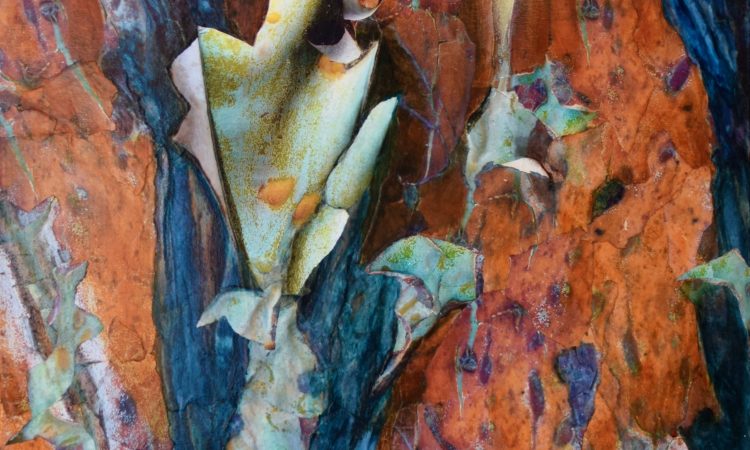 Angophora II Mixed Media